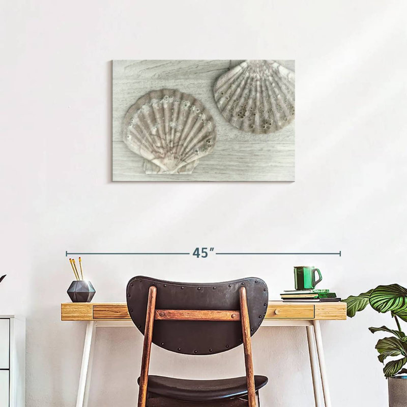 Aletra Two King Scallop Shells, 20" H x 30" W