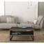 Table basse avec rangement Frame