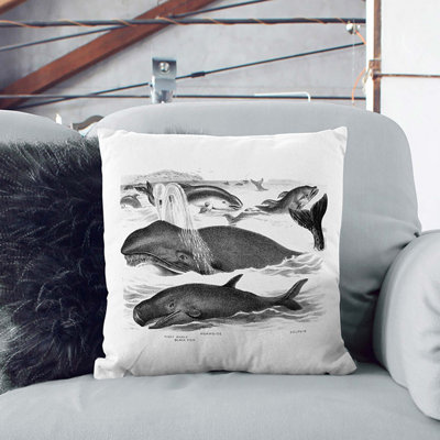 Square Throw Cushion