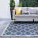 Speegle Indoor / Outdoor Rug
