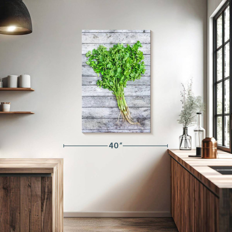 Harnek Cilantro, 39" H x 26" W