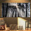 «Sunbeam Through Black White Forest», photographie-35125680-35125685