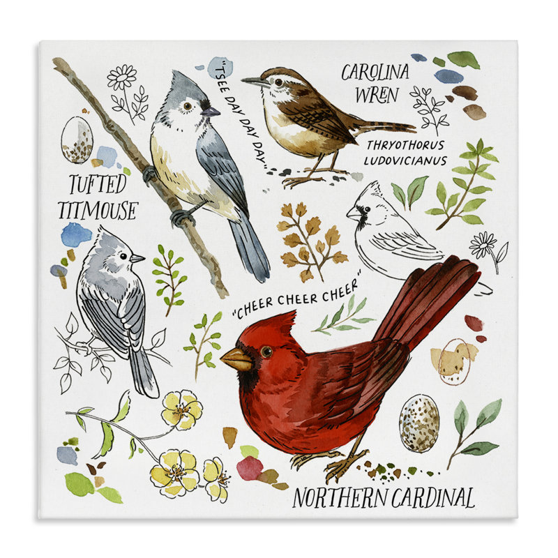 Art mural sur toile, tableau d'observation d'oiseaux par Jane Maday, H 24 po x l 24 po