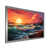 Silver Single Picture Framed
