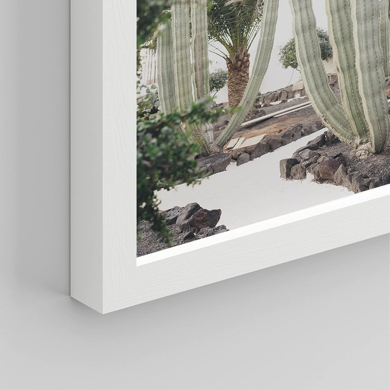 «Cactus Desert», reproduction encadrée de 4 pièces, H 14 po x l 11 po x P 1 po, Cadre blanc