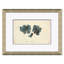Blue Coral Giclee Print by Paul Cezanne