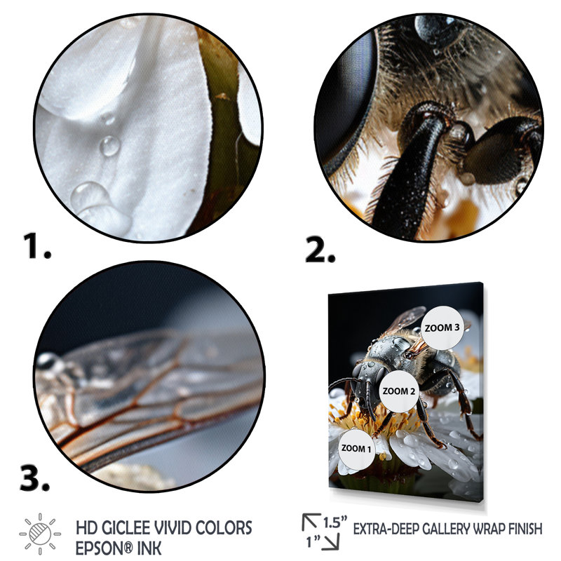 Jayloni Animal Insects Bugs National I - Print on Canvas, Black Single Picture Frameed Canvas, 20" H x 12" W x 1" D