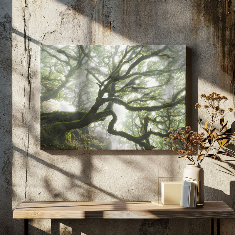 Wrapped Canvas Print, 50.8 cm H x 76.2 cm W