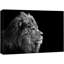 Un lion sur fond noir, estampe numérique sur toile-93629050-93629051