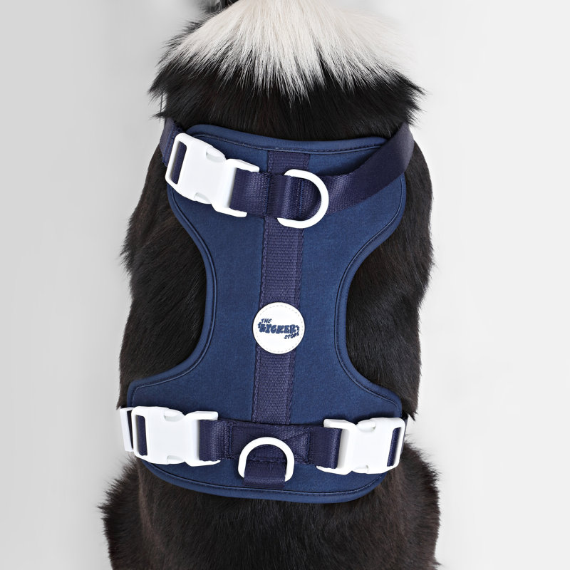 Harnais pour animal de compagnie Arlo, Marine, Grand