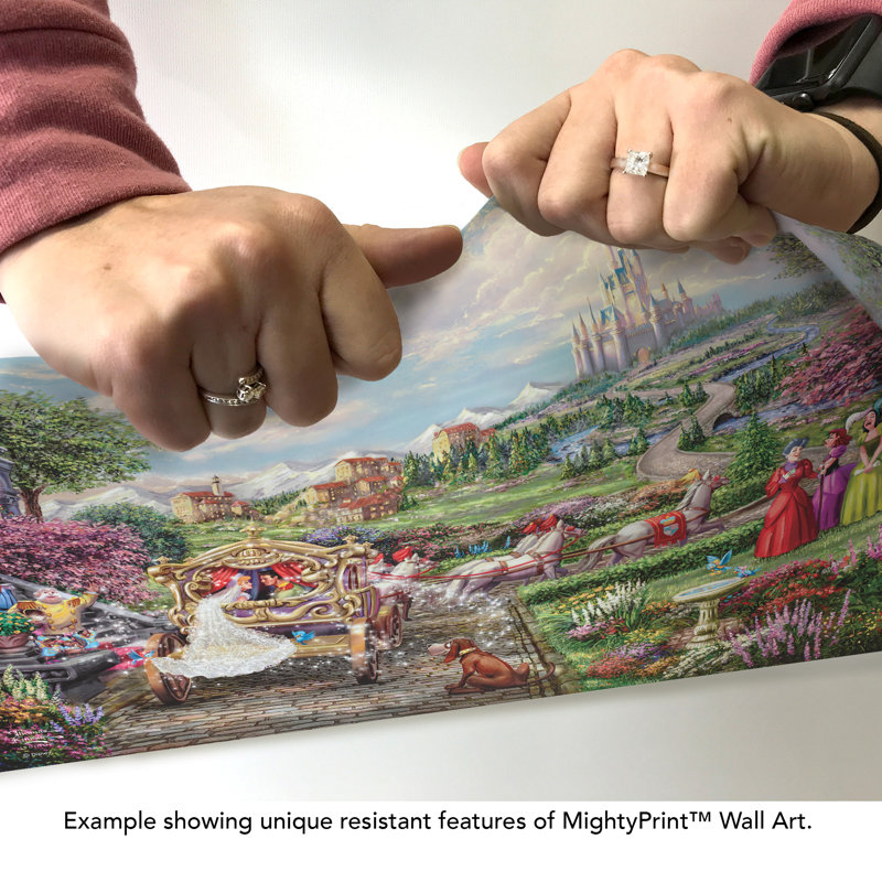 Art mural Disney (Cendrillon «Happily Ever After»)