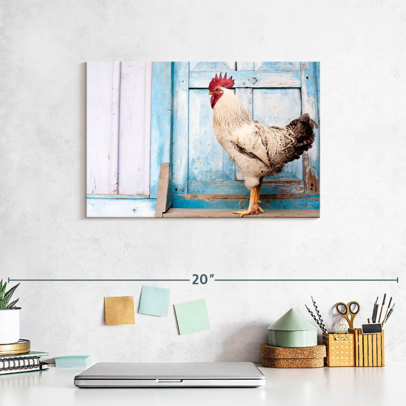 Crowle Domesticated Rooster, 8" H x 12" W