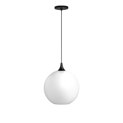 12 in. Black Globe Pendant Light