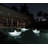 The Bobb Shark Lamp
