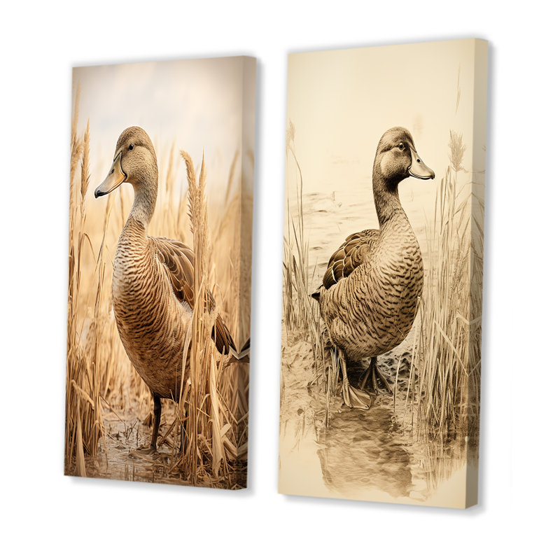 Ensemble de 2 décorations murales canard brun rétro Elegance II, H 28 po x l 25 po, Toile tendue
