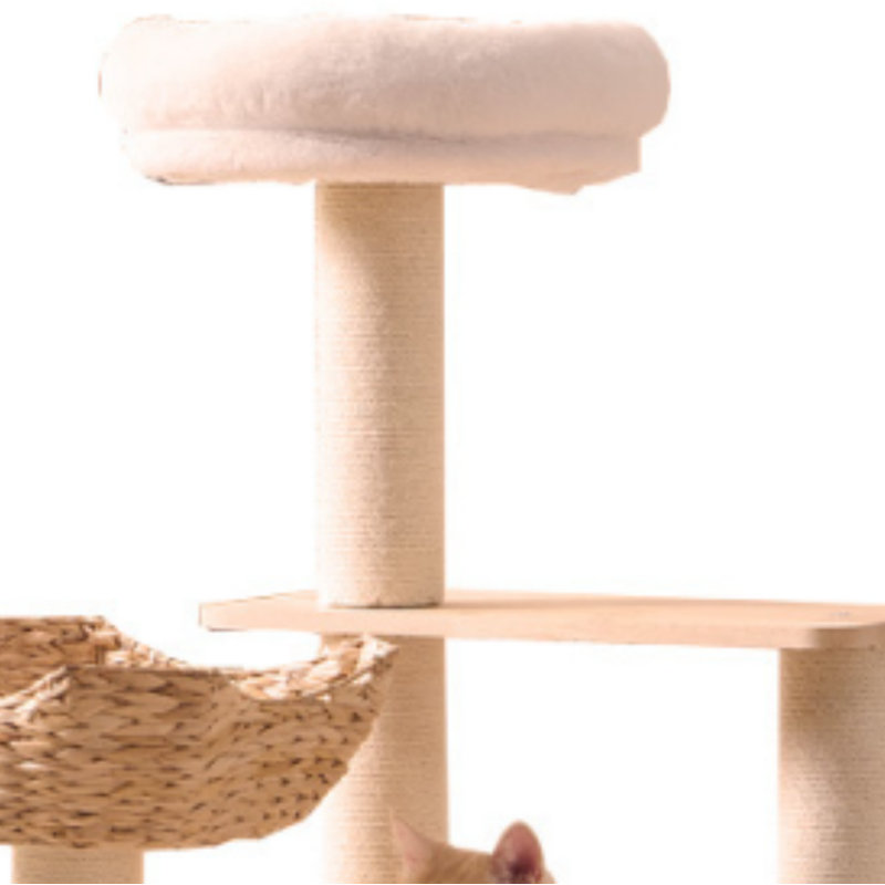 Un arbre à chat luxueux et sophistiqué, fabriqué en bois massif robuste et durable, avec des plateformes à plusieurs niveaux avec des lits intégrés pour satisfaire les instincts d'escalade naturels d'un chat.