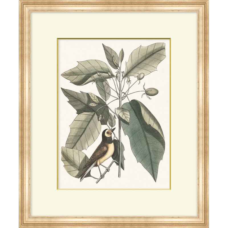 Summer Bird 4 Print