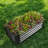 Rectangle Metal Raised Garden Bed ()-350085140-350085129