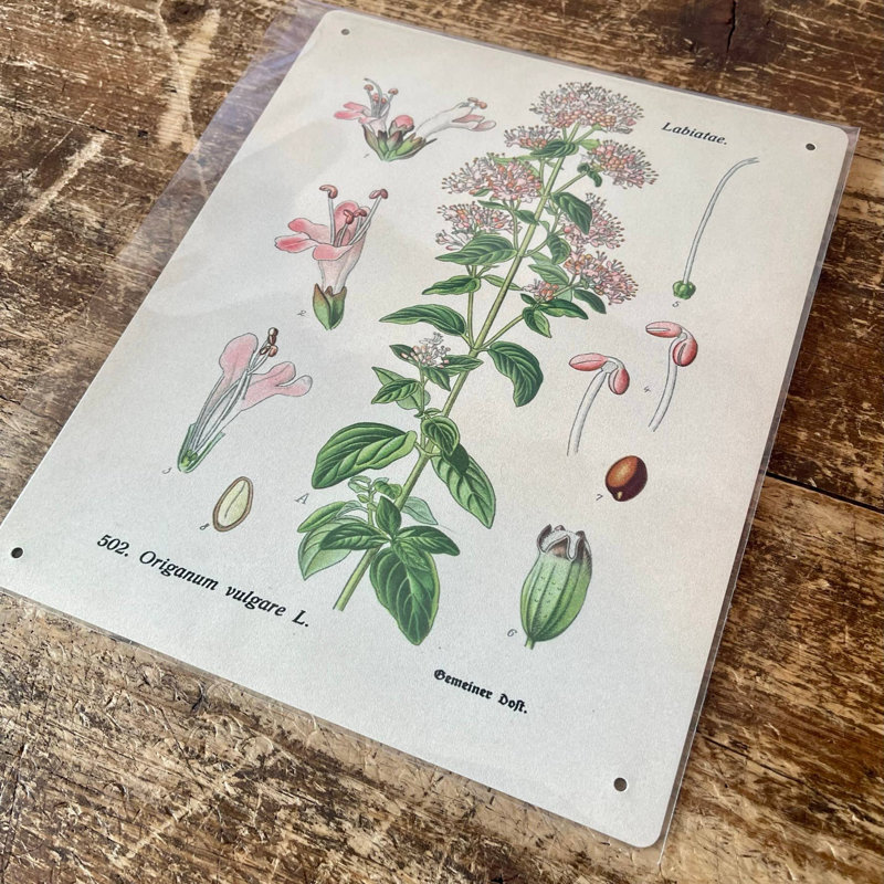 Handmade Plants & Flowers Wall Decor on Metal, 60cm H x 40cm W