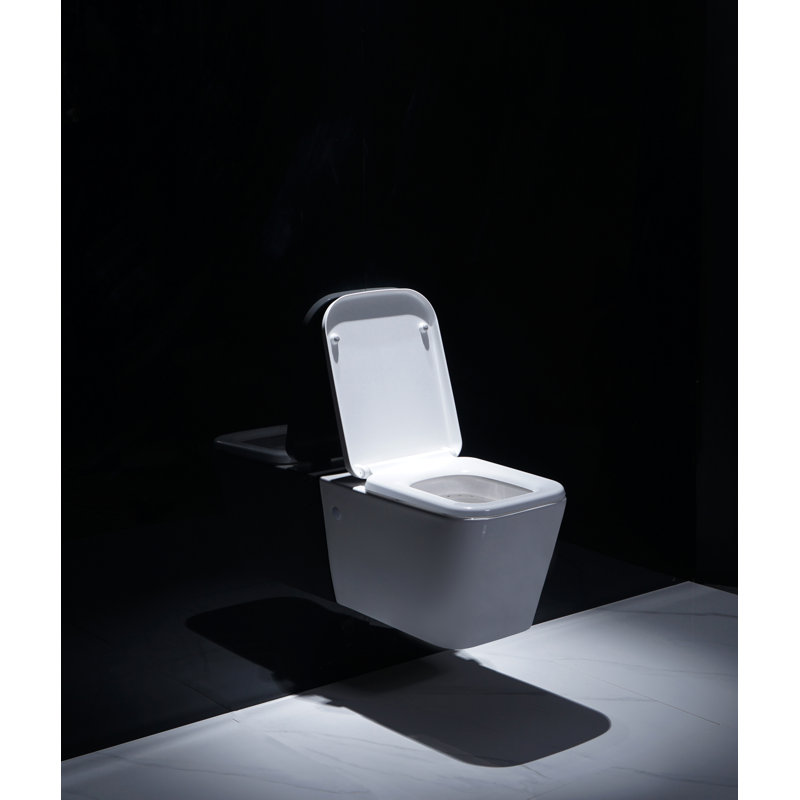 Toilette murale ronde à double chasse 303-G30031 (siège inclus)