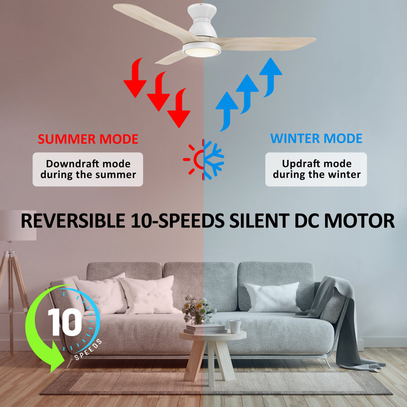 52'' Smart DC Motor Ceiling Fan with LED Lights and Remote Control, White Maple Wooden
