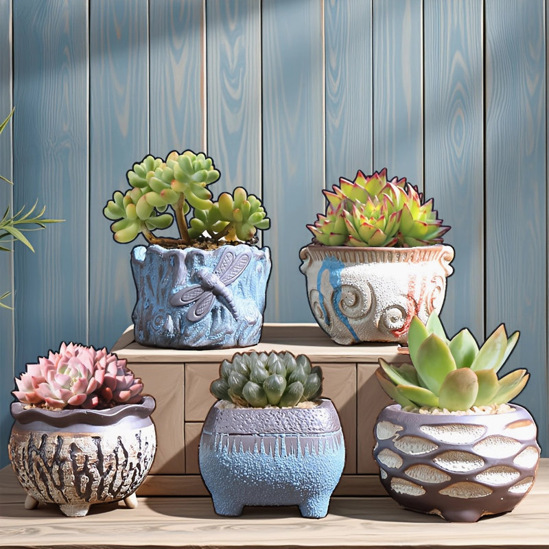 5 petits pots