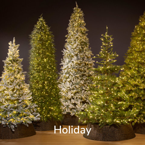 Shop Holiday