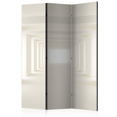 Into the Light Room Divider