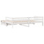 Blasingim Solid Wood Daybed with Trundle-718935424-718935437