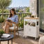 Phelan 60 cm W Kitchen Cart with Top