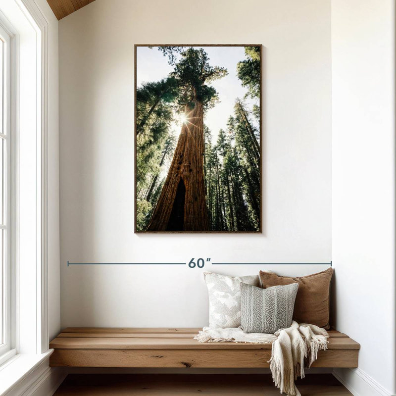 Arbre général Sherman ensoleillé, 29" x 43", Cadre flottant noyer
