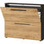 Wildomar Shoe Storage Cabinet-1065336919