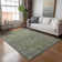 Machine Washable Indoor/Outdoor Kaczor ACN2231 Global Rug