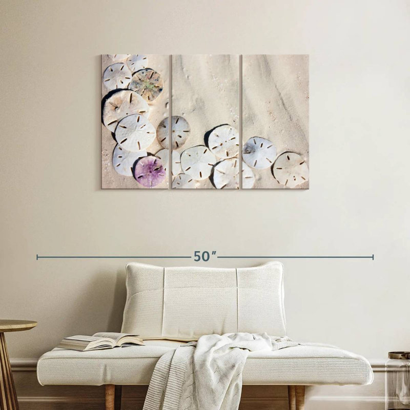 Brampt Beach Sand Dollars, 24" H x 38" W