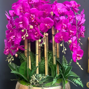 Orchid Arrangement in Vase, Cerise Pink