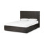 Lit Tomey Leo-566708475-566708997
