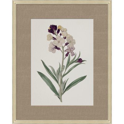 Floral Study In Plum 5 Painting