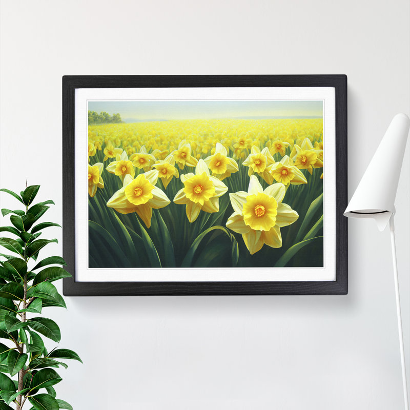 XH1022-9672X Virtuous Daffodil Flowers - Single Picture Frame Print, Black, 46cm H x 64cm W