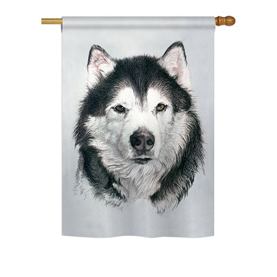 Double Sided 40'' H x 28'' W Polyester House Flag