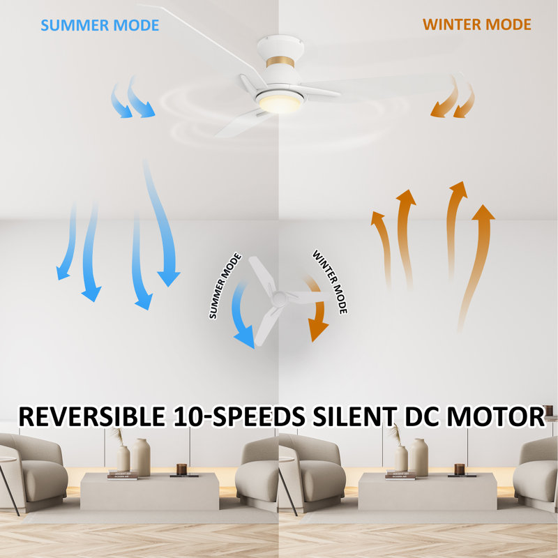 Ventilateur de plafond intelligent avec lumière Gaudenzia
