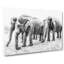 Elephants In Sri Lanka - Wrapped Canvas-55372886
