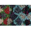 One-of-a-Kind Runner 2'4" X 5'9" Area Rug