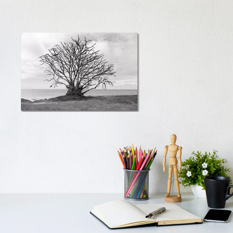 Barron Tree by Sean Davey - Wrapped Canvas Gallery-Wrapped Canvas Giclée, 20.32 cm H x 30.48 cm W