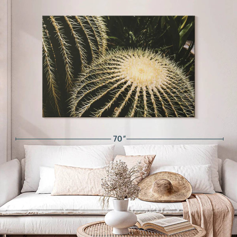 Cactus tonneau Harnek, H 34 po x l 51 po