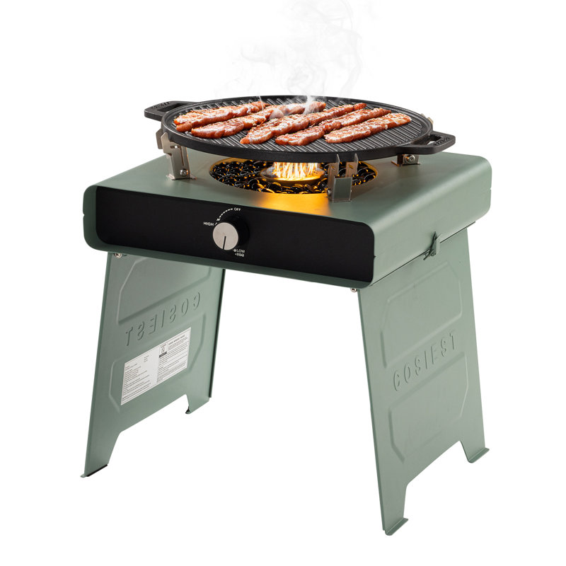 Reinmar Square Stainless Steel Propane Smokeless Fire Pit Table, Green