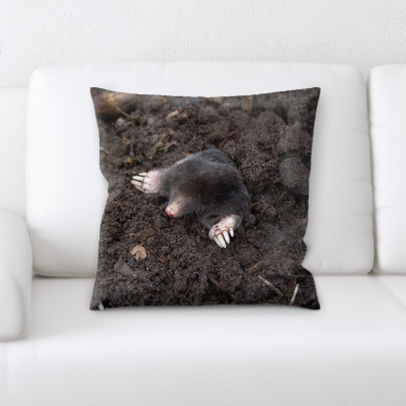 Coussin en jeté mole