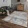 Allasia Cotton Oriental Indoor Rug