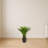Agave Artificial Plant