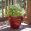 Jardinière ronde Beehive avec soucoupe attachée