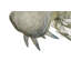 Abstract Figurines & Sculptures-103100086-103100089
